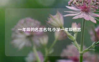 一年级的名言名句,小学一年级格言