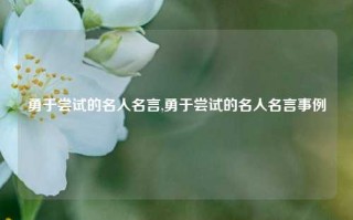 勇于尝试的名人名言,勇于尝试的名人名言事例