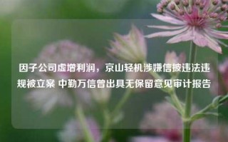 因子公司虚增利润，京山轻机涉嫌信披违法违规被立案 中勤万信曾出具无保留意见审计报告