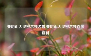 亚历山大汉密尔顿名言,亚历山大汉密尔顿百度百科