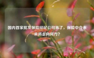 国内首家批发保险经纪公司来了，保险中介未来将走向何方？