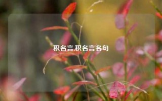 积名言,积名言名句