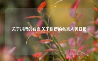 关于拼搏的名言,关于拼搏的名言人民日报