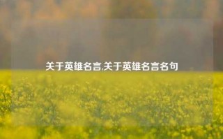 关于英雄名言,关于英雄名言名句