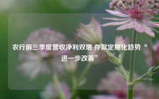 农行前三季度营收净利双增 存款定期化趋势“进一步改善”