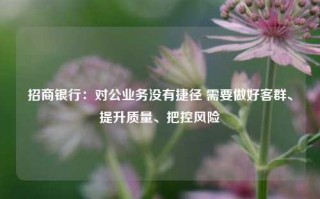 招商银行：对公业务没有捷径 需要做好客群、提升质量、把控风险