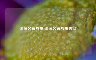 诚信名言故事,诚信名言故事古诗