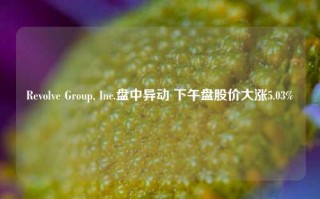 Revolve Group, Inc.盘中异动 下午盘股价大涨5.03%