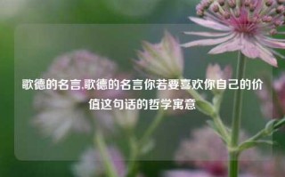 歌德的名言,歌德的名言你若要喜欢你自己的价值这句话的哲学寓意