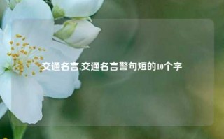 交通名言,交通名言警句短的10个字