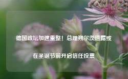 德国政坛加速重整！总理朔尔茨透露或在圣诞节前开启信任投票