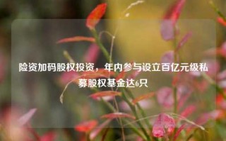 险资加码股权投资，年内参与设立百亿元级私募股权基金达6只