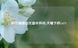 阿什福德信托盘中异动 大幅下跌5.67%