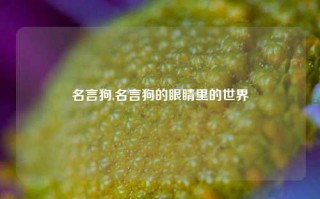 名言狗,名言狗的眼睛里的世界