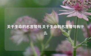 关于生命的名言警句,关于生命的名言警句有什么