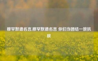 穆罕默德名言,穆罕默德名言 你们当团结一致抗敌