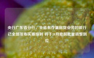 央行广东省分行：全省有存量房贷业务的银行已全部发布实施细则 将于10月底前批量调整到位