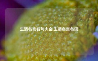 生活名言名句大全,生活名言名语