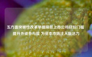 五方面突破性改革举措降低上市公司战投门槛 提升外资参与度 为资本市场注入新活力