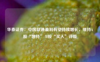 华泰证券：中国联通盈利有望持续增长，维持A股“增持”/H股“买入”评级