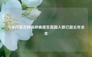 今年经英吉利海峡偷渡至英国人数已超去年全年