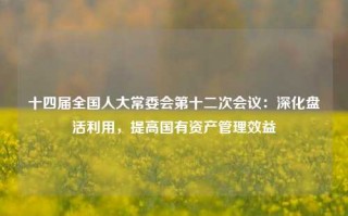 十四届全国人大常委会第十二次会议：深化盘活利用，提高国有资产管理效益