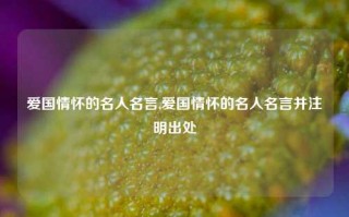 爱国情怀的名人名言,爱国情怀的名人名言并注明出处