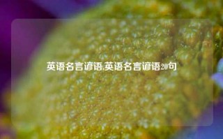 英语名言谚语,英语名言谚语20句