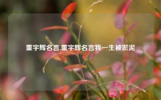 董宇辉名言,董宇辉名言我一生被淤泥