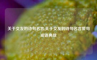 关于交友的诗句名言,关于交友的诗句名言警句成语典故