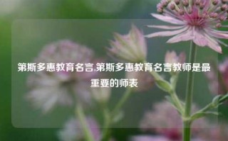 第斯多惠教育名言,第斯多惠教育名言教师是最重要的师表