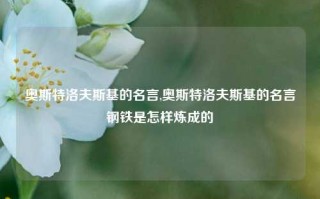 奥斯特洛夫斯基的名言,奥斯特洛夫斯基的名言钢铁是怎样炼成的