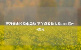 萨万通金控盘中异动 下午盘股价大跌5.06%报19.70美元