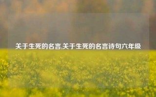 关于生死的名言,关于生死的名言诗句六年级