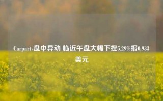 Carparts盘中异动 临近午盘大幅下挫5.29%报0.933美元