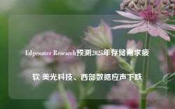 Edgewater Research预测2025年存储需求疲软 美光科技、西部数据应声下跌