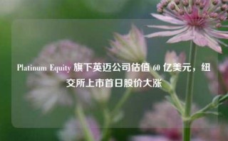 Platinum Equity 旗下英迈公司估值 60 亿美元，纽交所上市首日股价大涨