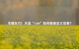 龙耀东方！天选“A500”如何重新定义宽基？