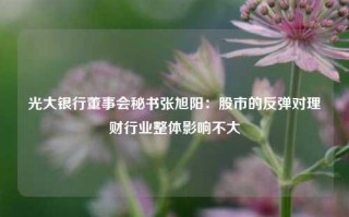 光大银行董事会秘书张旭阳：股市的反弹对理财行业整体影响不大