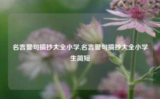 名言警句摘抄大全小学,名言警句摘抄大全小学生简短