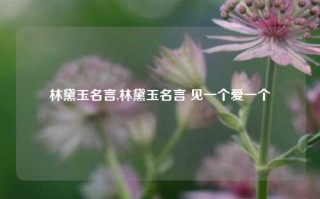 林黛玉名言,林黛玉名言 见一个爱一个