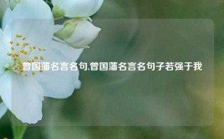 曾国藩名言名句,曾国藩名言名句子若强于我