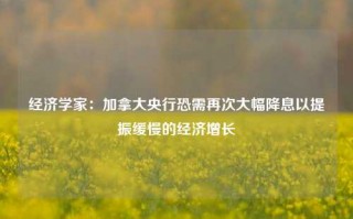 经济学家：加拿大央行恐需再次大幅降息以提振缓慢的经济增长