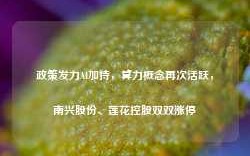 政策发力AI加持，算力概念再次活跃，南兴股份、莲花控股双双涨停