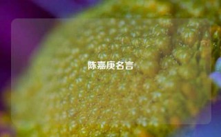 陈嘉庚名言