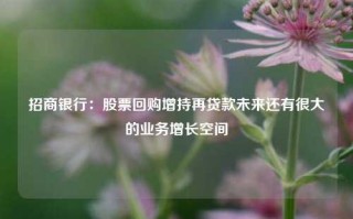 招商银行：股票回购增持再贷款未来还有很大的业务增长空间