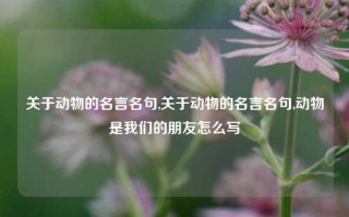 关于动物的名言名句,关于动物的名言名句,动物是我们的朋友怎么写