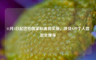 11月1日起这些国家标准将实施，涉及APP个人信息处理等