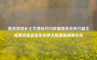 商务部部长王文涛应约与欧盟委员会执行副主席兼贸易委员东布罗夫斯基斯视频会谈