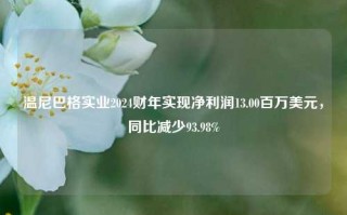 温尼巴格实业2024财年实现净利润13.00百万美元，同比减少93.98%